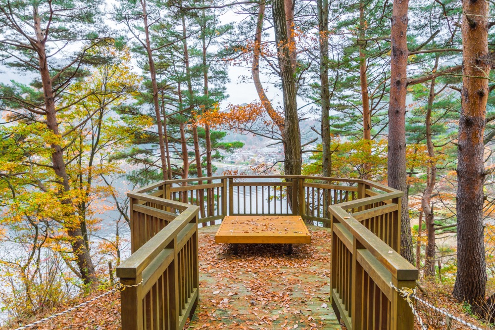 Lakeside rental property with mountain view